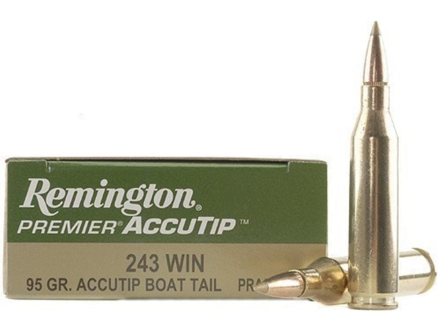 Karabinsko Remington kal.243 Win. 95grs Accutip
