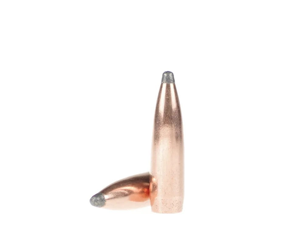 Zrno PPU kal.30/308 Match Solid 156grs./10.1g (50kom)